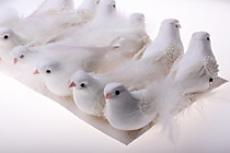 Белые свадебные голуби, Китай от 28.80
